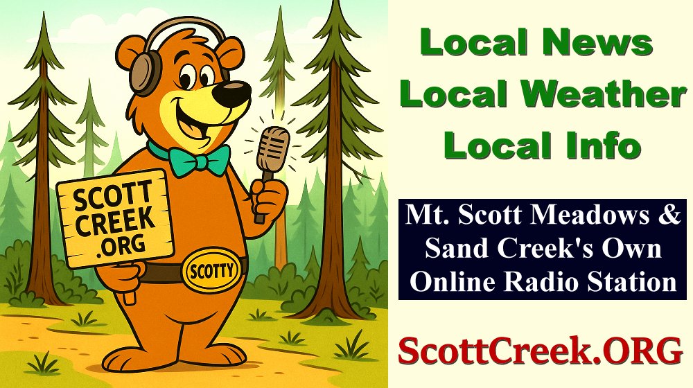Scotty the Bear